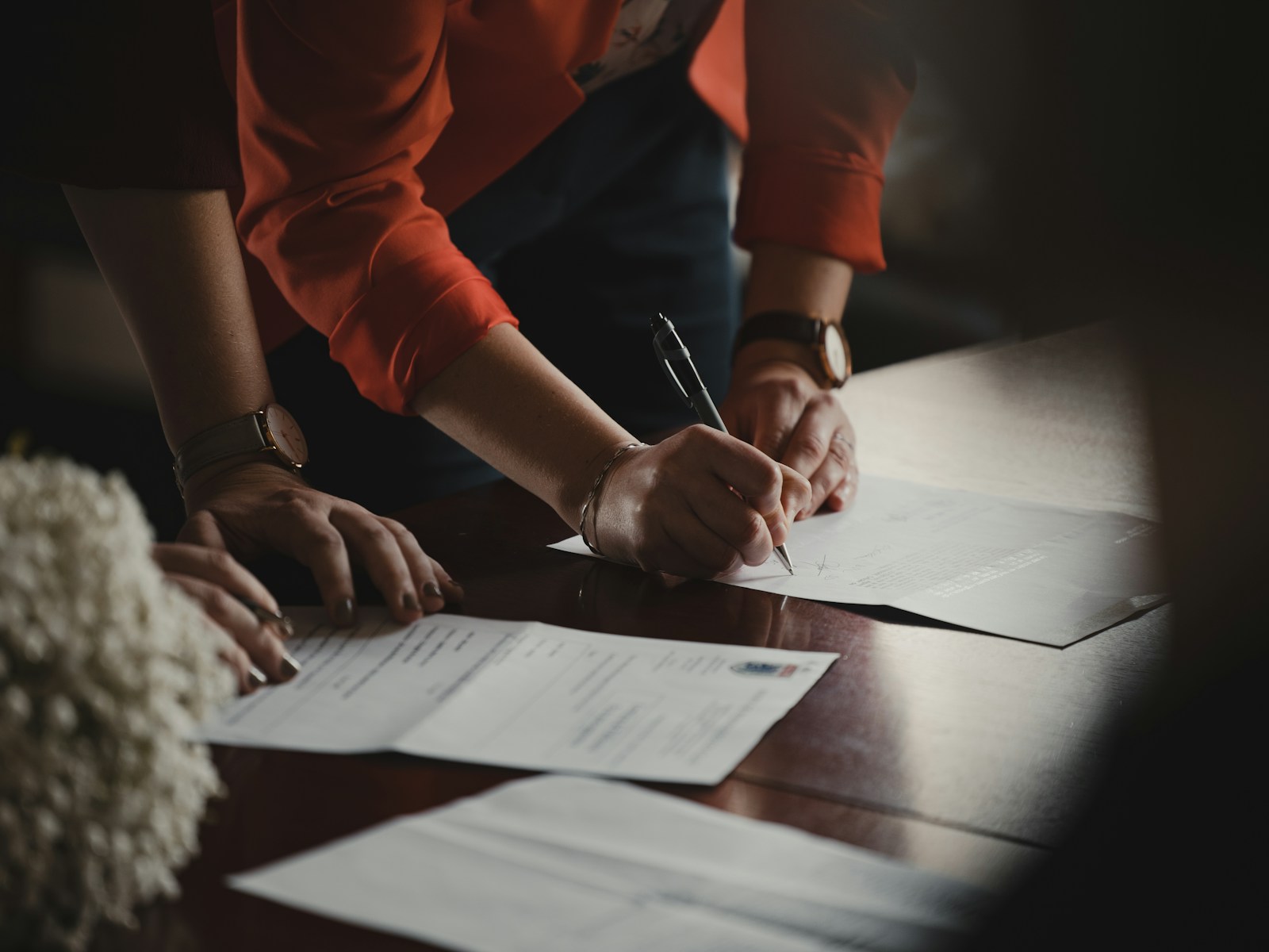 MS Logistics customs documentation process